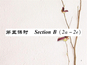 八年級英語上冊 Unit 9 Can you come to my party（第5課時）Section B（2a-2e）同步作業(yè)課件 （新版）人教新目標版