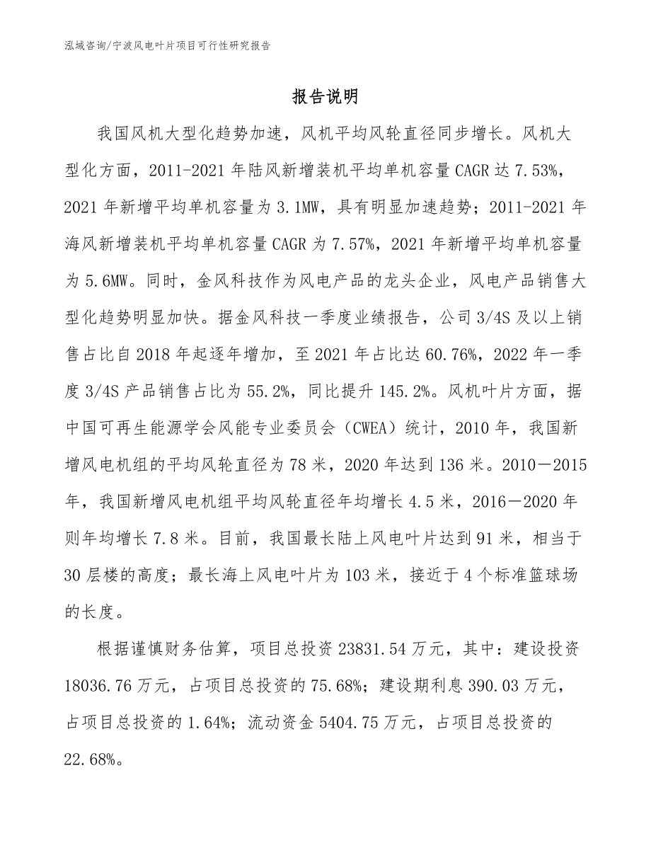 宁波风电叶片项目可行性研究报告_模板参考_第1页