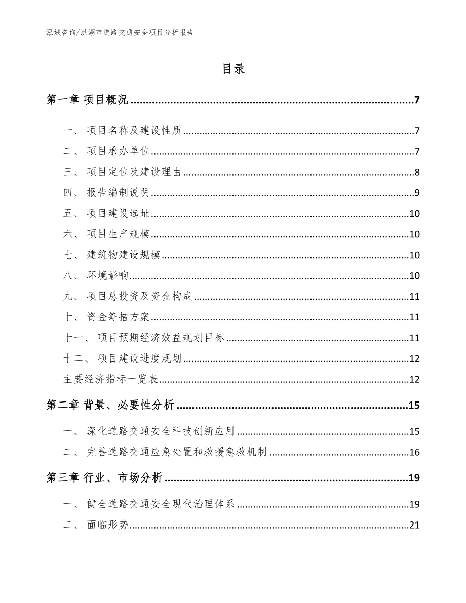 洪湖市道路交通安全项目分析报告范文参考_第1页