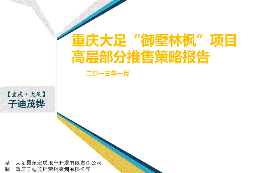 重庆大足“御墅林枫”项目推售策略报告课件_第1页