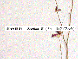 八年級英語上冊 Unit 9 Can you come to my party（第6課時）Section B（3a-Self Chsck）同步作業(yè)課件 （新版）人教新目標版