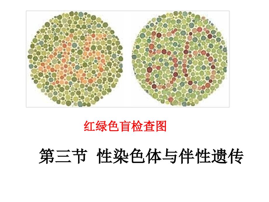 性染色体和伴性遗传_第1页