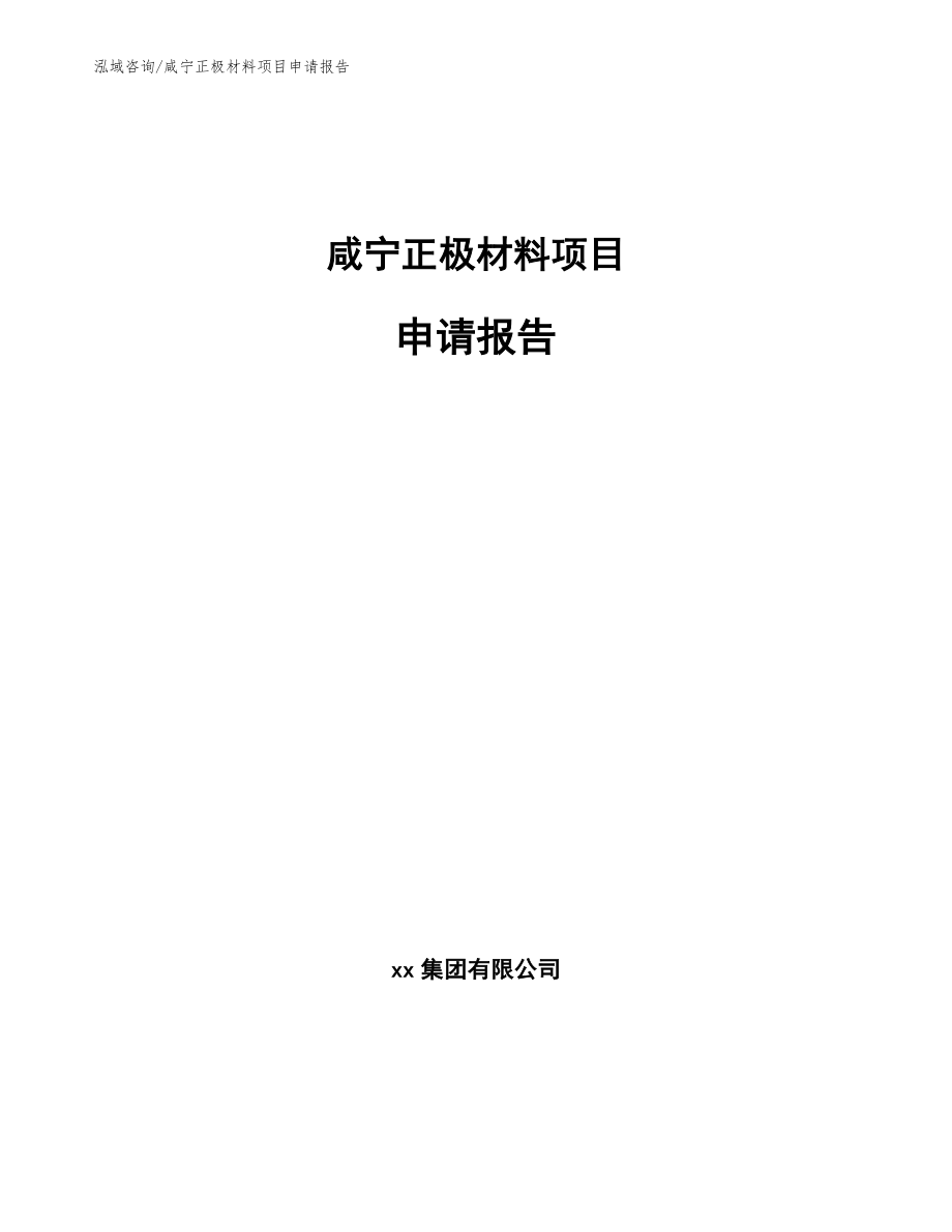 咸宁正极材料项目申请报告（参考模板）_第1页