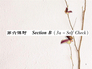 八年級(jí)英語(yǔ)上冊(cè) Unit 6 I'm going to study computer science（第6課時(shí)）Section B（3a-Self Chsck）同步作業(yè)課件 （新版）人教新目標(biāo)版