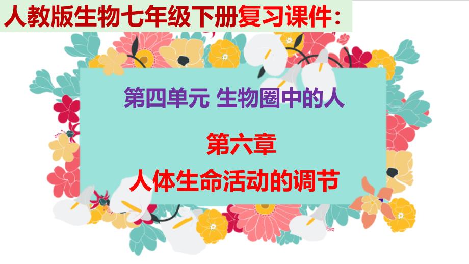 人教版生物七年级下册复习课件：第四单元第六章人体生命活动的调节_第1页