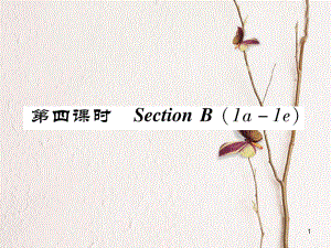 八年級(jí)英語(yǔ)上冊(cè) Unit 7 Will people have robots（第4課時(shí)）Section B（1a-1e）同步作業(yè)課件 （新版）人教新目標(biāo)版