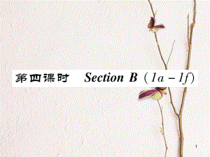 八年級(jí)英語上冊(cè) Unit 9 Can you come to my party（第4課時(shí)）Section B（1a-1e）同步作業(yè)課件 （新版）人教新目標(biāo)版