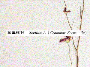 八年級(jí)英語上冊(cè) Unit 9 Can you come to my party（第3課時(shí)）Section A（Grammar Focus-3c）同步作業(yè)課件 （新版）人教新目標(biāo)版