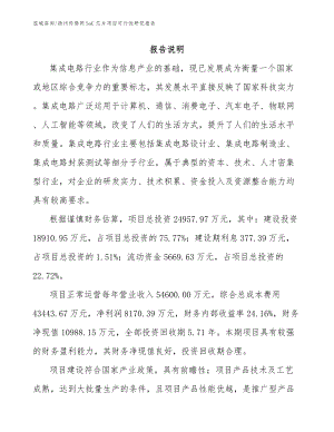 扬州传感网SoC芯片项目可行性研究报告（模板参考）