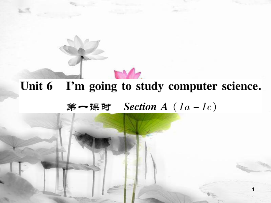 八年級英語上冊 Unit 6 I'm going to study computer science（第1課時(shí)）Section A（1a-1c）同步作業(yè)課件 （新版）人教新目標(biāo)版_第1頁