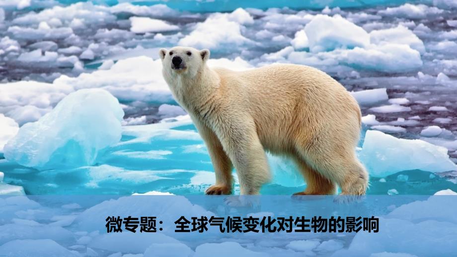 微专题：全球气候变化对生物的影响课件_第1页