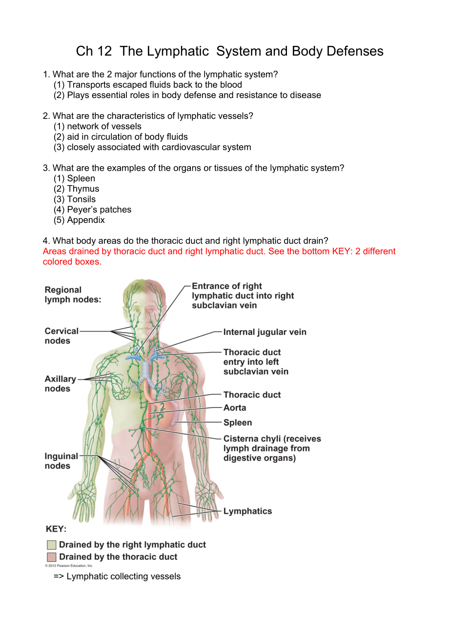 Anatomy_Ch_12_TheLymphaticSystemandBodyDefenses_第1页