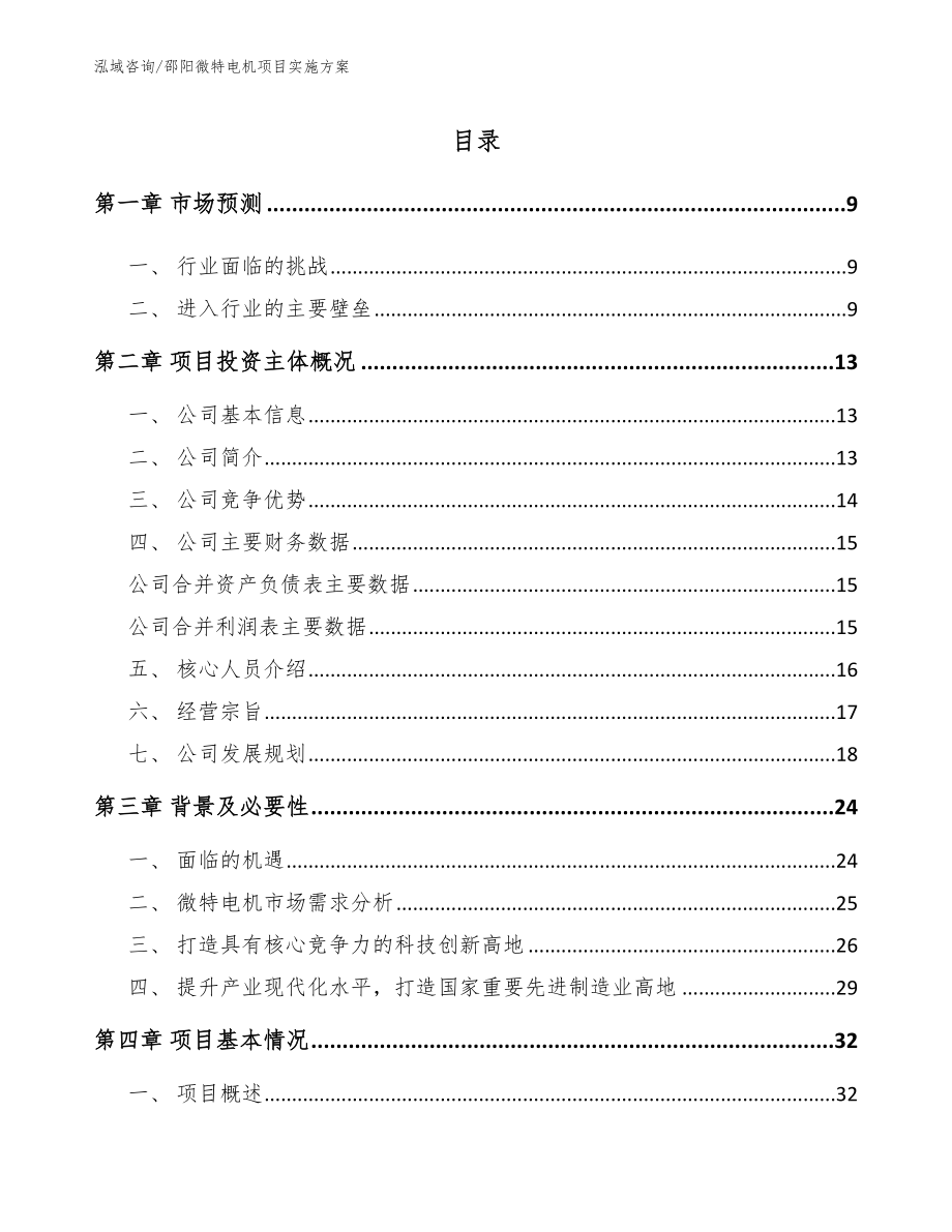 邵阳微特电机项目实施方案（模板）_第1页