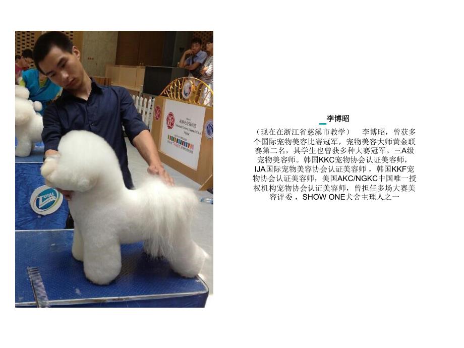 李博昭的学生作品(贵宾犬,比熊犬,博美犬,泰迪造型)_第1页