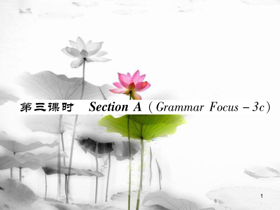 八年級英語上冊 Unit 6 I'm going to study computer science（第3課時）Section A（Grammar Focus-3c）同步作業(yè)課件 （新版）人教新目標版_第1頁