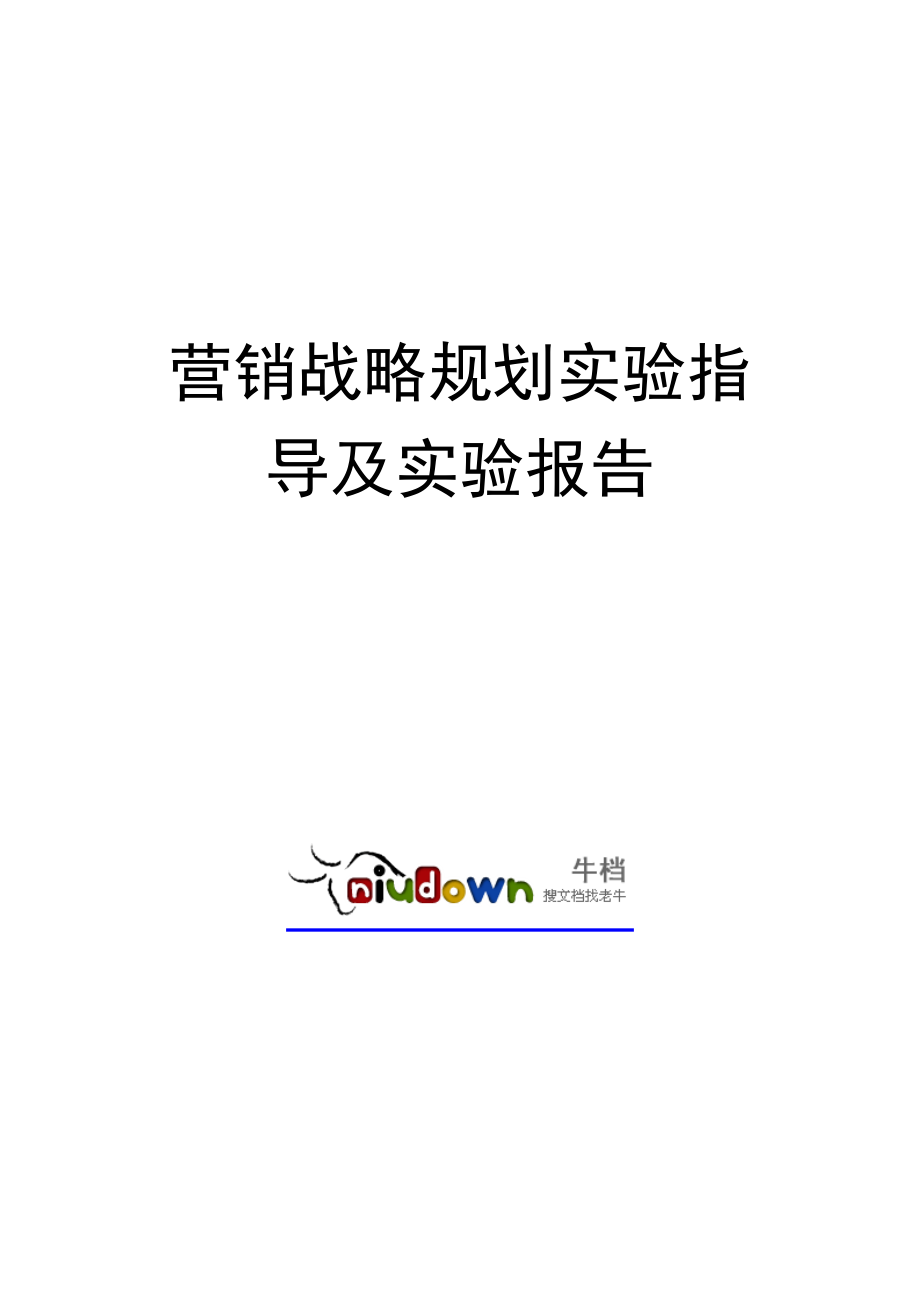 营销战略规划实验指导及实验报告_第1页