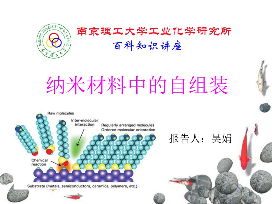 纳米材料中的自组装_第1页