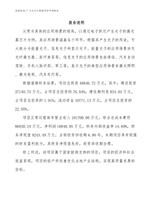 广元光芯片销售项目申请报告（范文模板）