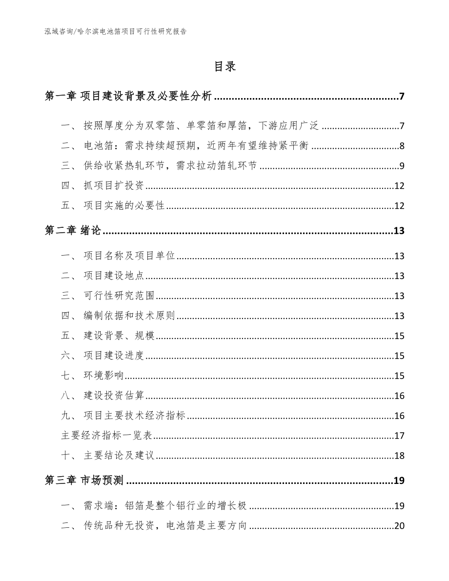 哈尔滨电池箔项目可行性研究报告模板范本_第1页