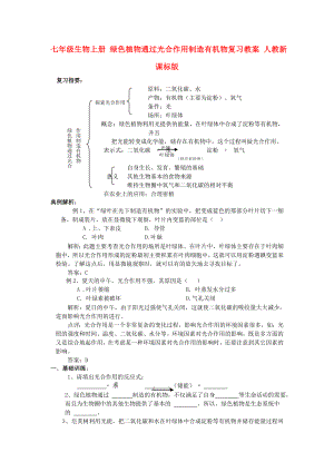 七年级生物上册 绿色植物通过光合作用制造有机物复习教案 人教新课标版