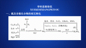 2020化學(xué)同步導(dǎo)學(xué)蘇教第一冊(cè)課件：專題4 硫、氮和可持續(xù)發(fā)展 硫、氮和可持續(xù)發(fā)展 專題復(fù)習(xí)講座