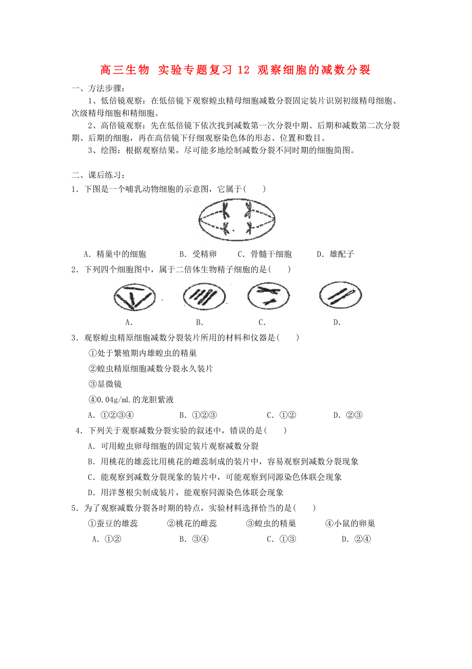 高三生物 實(shí)驗(yàn)專題復(fù)習(xí)12 觀察細(xì)胞的減數(shù)分裂_第1頁(yè)