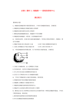 內(nèi)蒙古杭錦后旗奮斗中學2015-2016學年高中生物 課時11 細胞核-系統(tǒng)的控制中心課后練習 新人教版必修1