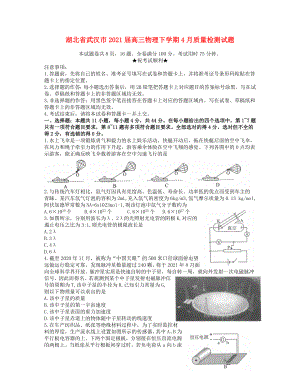 湖北省武汉市2021届高三物理下学期4月质量检测试题