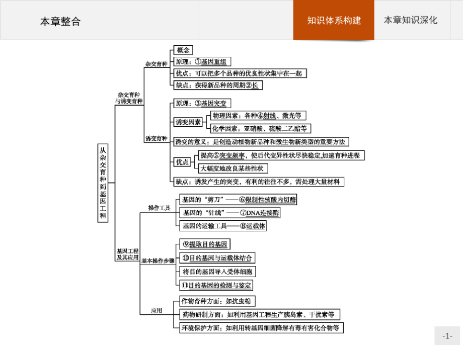 2020-2021學(xué)年生物人教版必修2課件：第6章 本章整合_第1頁