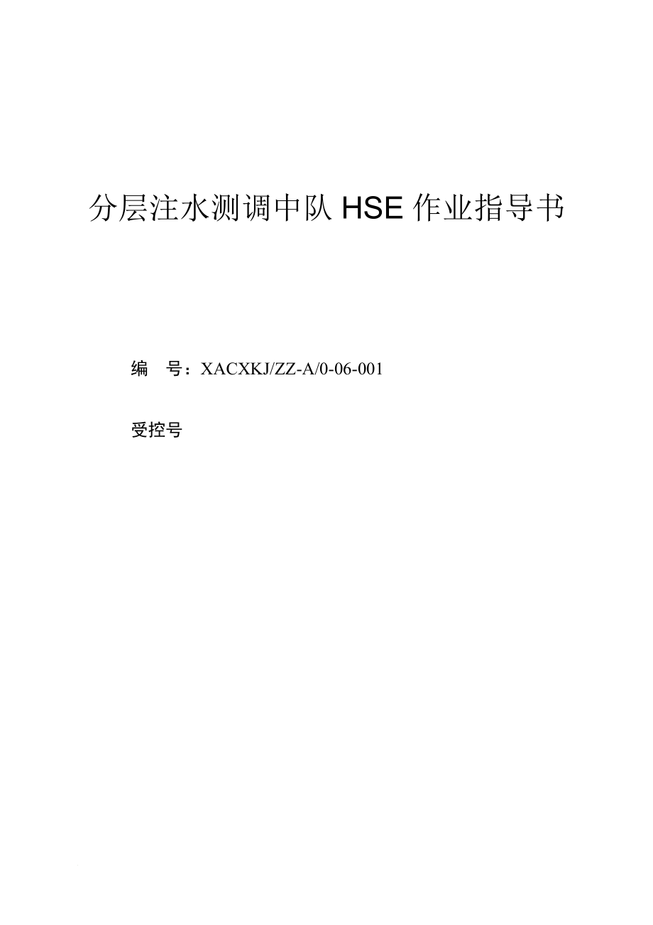 分层注水测调中队HSE作业指导书(一)_第1页