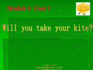 外研版(三年級(jí)起點(diǎn))四年級(jí)下冊(cè)Module 4Unit 1 Will you take your kite (2)課件