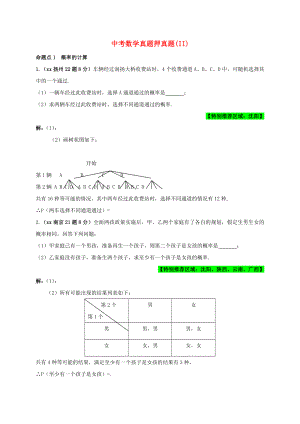 中考數(shù)學(xué)真題押真題(II)