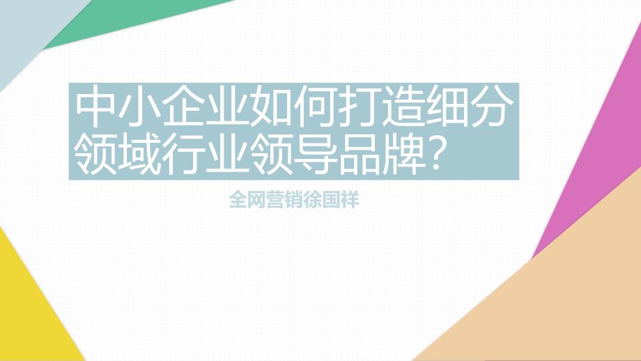 中小企业如何打造细分领域行业领导品牌？_第1页