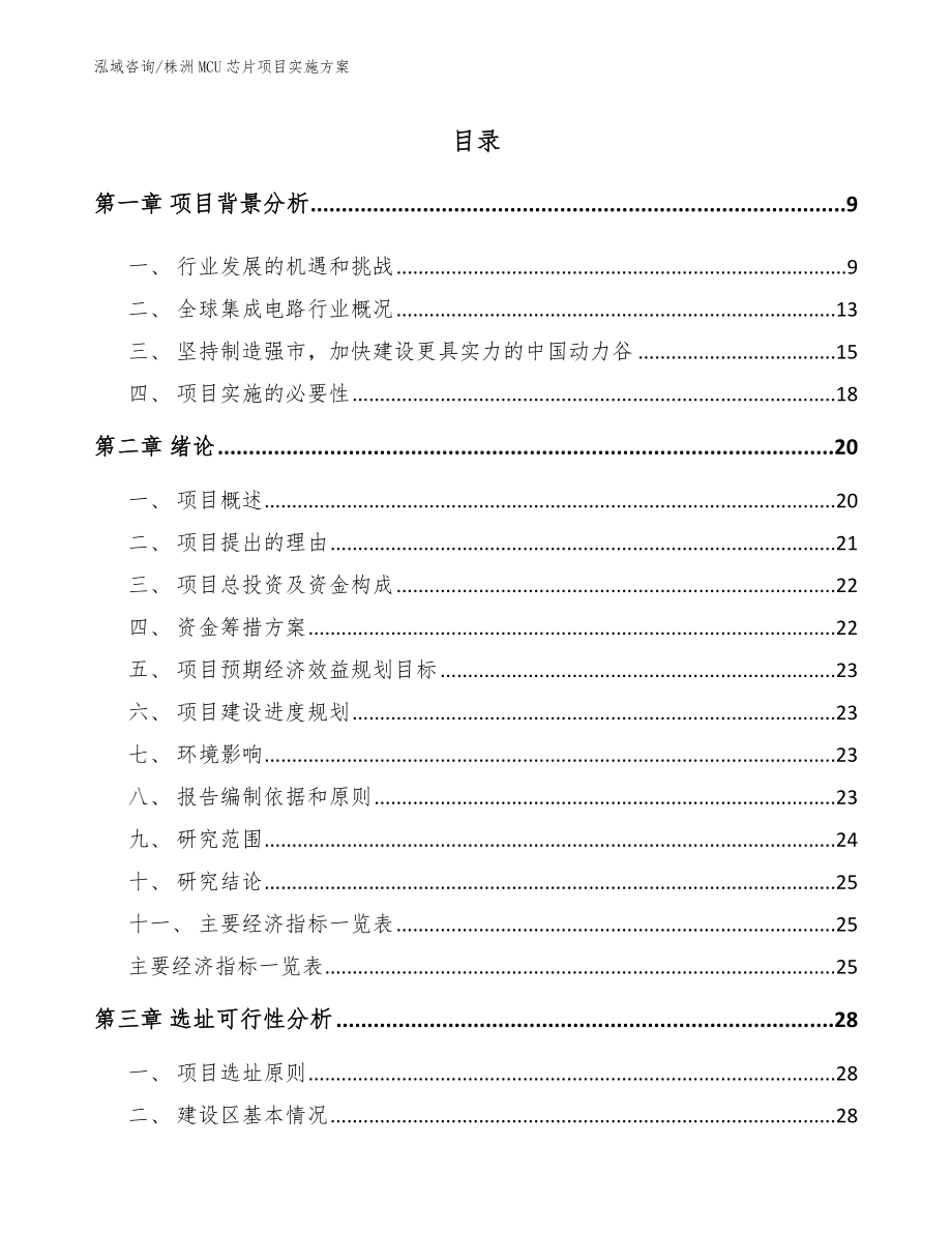 株洲MCU芯片项目实施方案_第1页