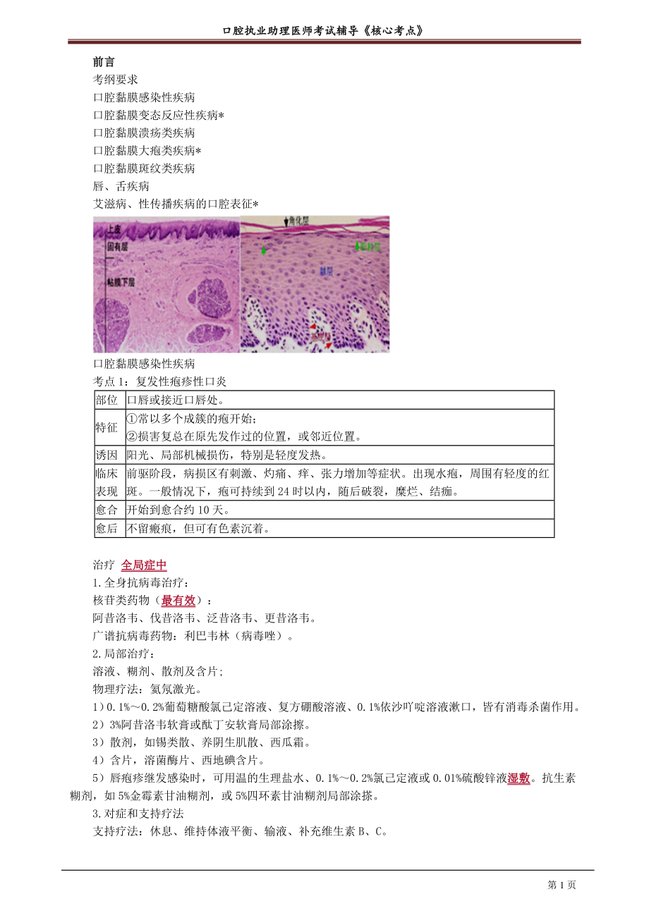 2021年口腔助理医师讲义之口腔内科学28页_第1页