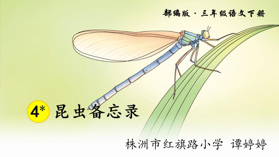 4昆蟲(chóng)備忘錄 (2)_第1頁(yè)