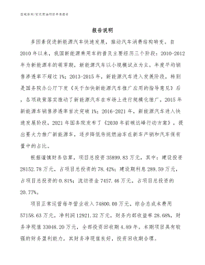 安庆原油项目申请报告（模板范本）