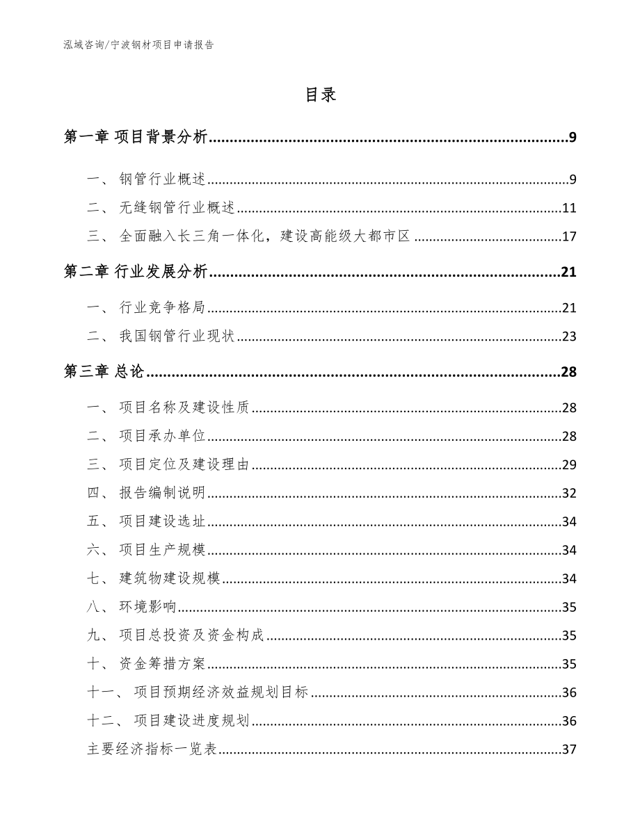 宁波钢材项目申请报告（模板范文）_第1页