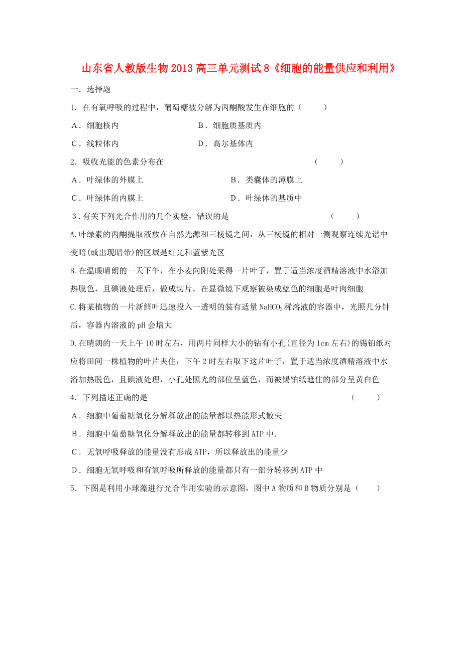 山東省2013高三生物 單元測試8《細(xì)胞的能量供應(yīng)和利用2》新人教版_第1頁