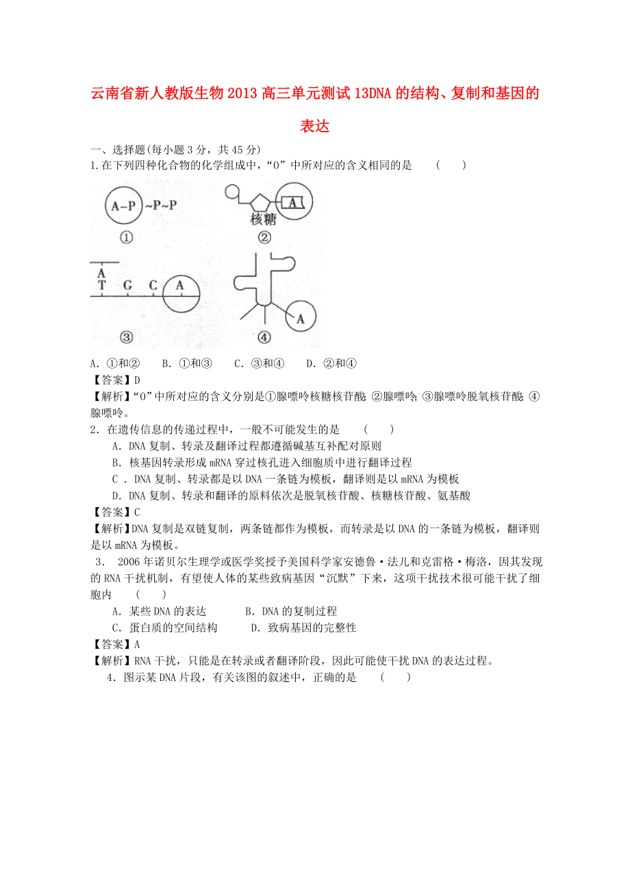 云南省2013年高三生物 單元測試13《DNA結(jié)構(gòu)、復(fù)制與表達(dá)》新人教版_第1頁