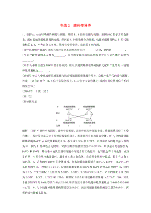 浙江專用2020年高考生物考前增分專項練輯專項4實驗探究與設(shè)計專練專練2遺傳變異類含解析