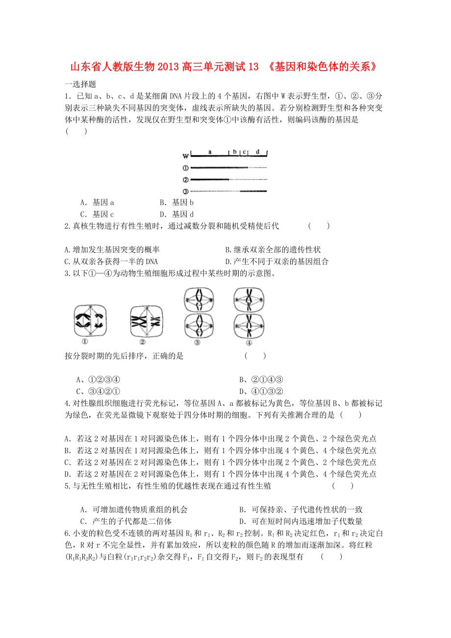 山東省2013高三生物 單元測(cè)試13《基因和染色體的關(guān)系1》新人教版_第1頁(yè)