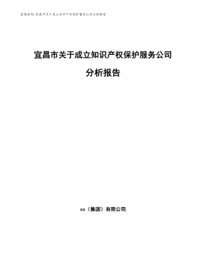 宜昌市关于成立知识产权保护服务公司分析报告