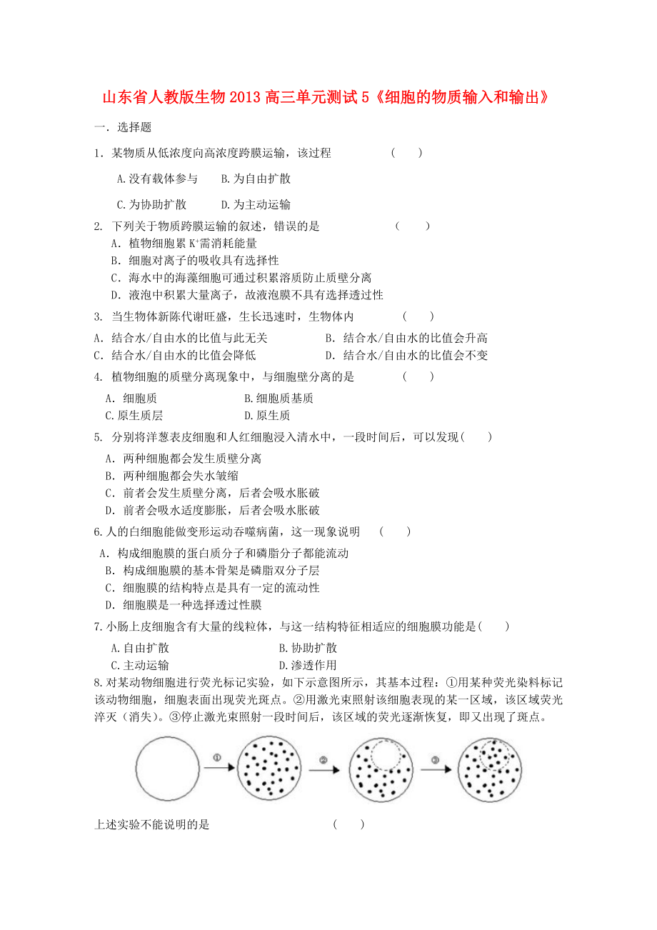 山東省2013高三生物 單元測試5《細胞的物質輸入和輸出1》新人教版_第1頁