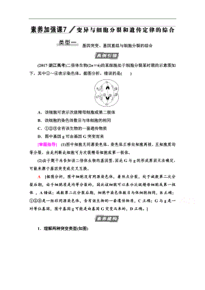 高三生物人教版一輪教師用書：必修2 第7單元 素養(yǎng)加強(qiáng)課7 變異與細(xì)胞分裂和遺傳定律的綜合 Word版含解析