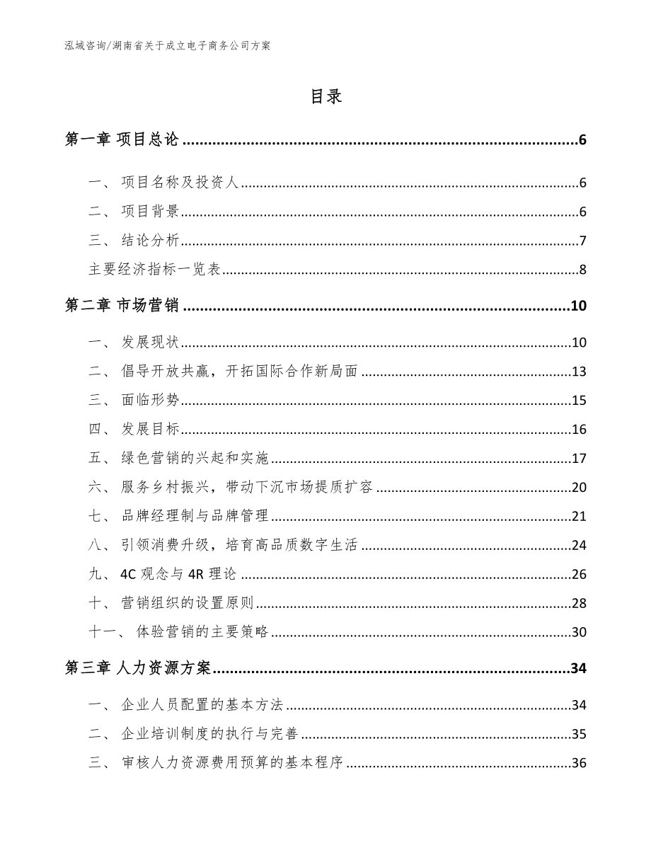 湖南省关于成立电子商务公司方案（参考模板）_第1页