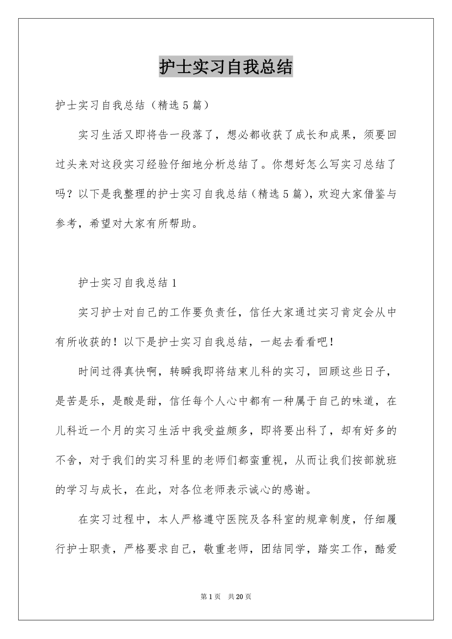 护士实习自我总结_第1页