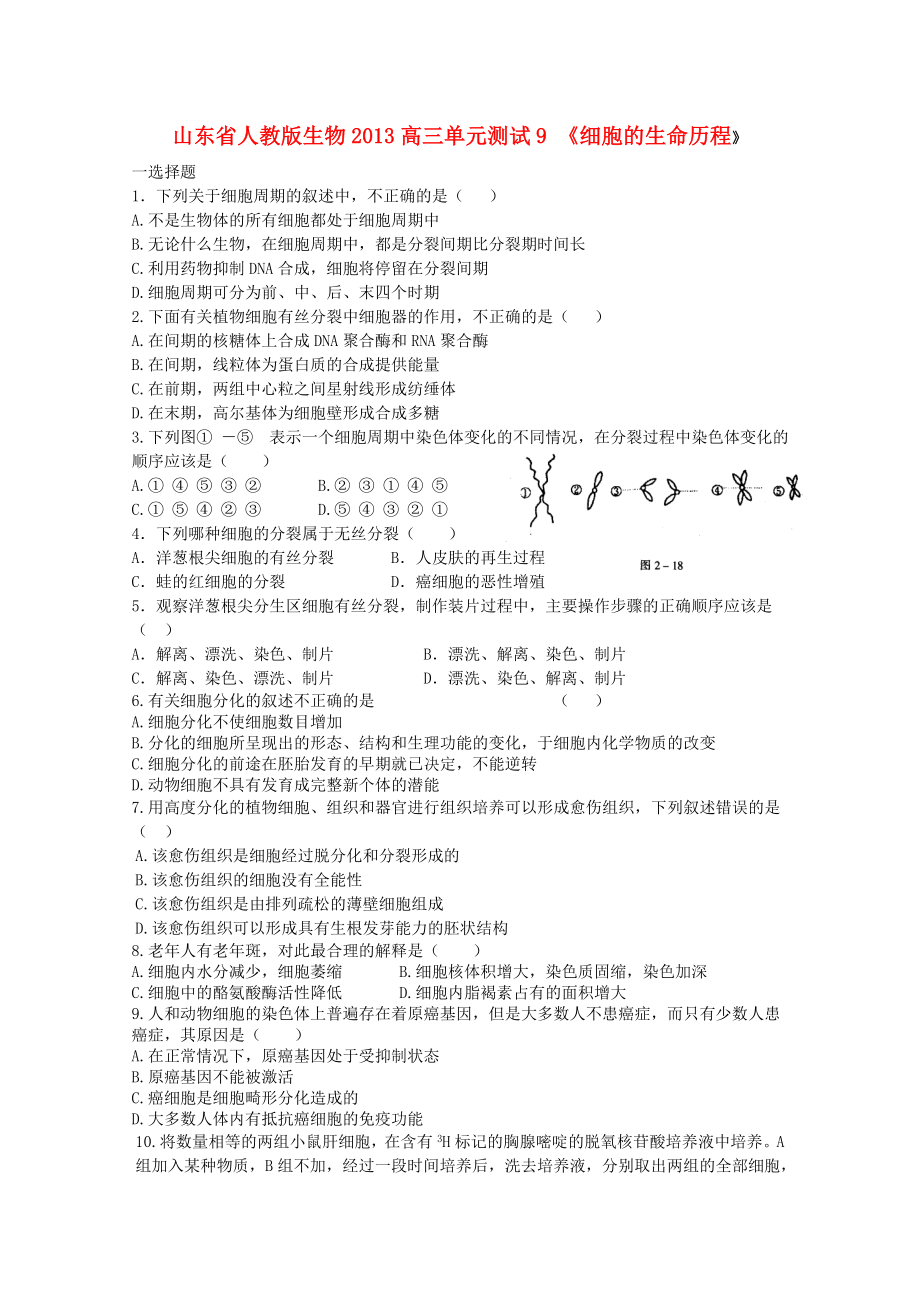 山东省2013高三生物 单元测试9《细胞的生命历程1》新人教版_第1页