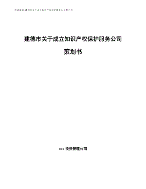 建德市关于成立知识产权保护服务公司策划书（范文）