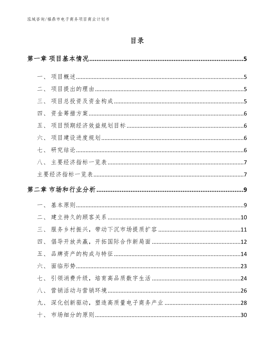 福鼎市电子商务项目商业计划书_第1页